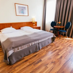Hotel Excelsior - Central Station 3* Номер Бизнес с различными типами кроватей