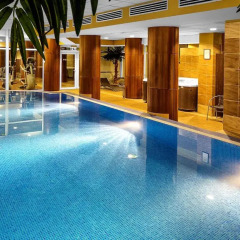 Twardowski Hotel Poznan Познань бассейн