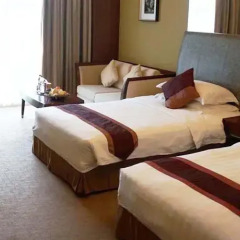 Imperial Hotel комната для гостей