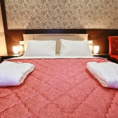 Elysium Hotel 3* Номер Комфорт с разными типами кроватей фото 16