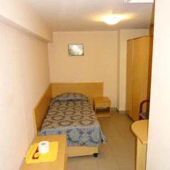 Виктория Отель 3* Номер Basement с различными типами кроватей фото 3