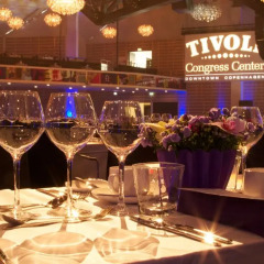 Отель Tivoli Hotel Дания, Копенгаген - 3 отзыва об отеле, цены и фото номеров - забронировать отель Tivoli Hotel онлайн помещение для мероприятий фото 8