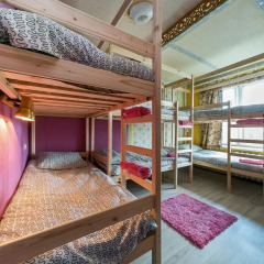 Гостиница Crazy Monkey Hostel next to the Moscow Zoo в Москве 4 отзыва об отеле, цены и фото номеров - забронировать гостиницу Crazy Monkey Hostel next to the Moscow Zoo онлайн Москва комната для гостей фото 2