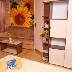 Bilya Richky Hotel комната для гостей фото 3