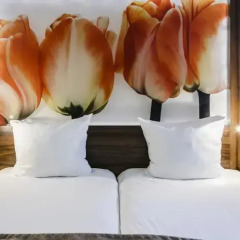 Eden Hotel Amsterdam 3* Номер Basic с двуспальной кроватью