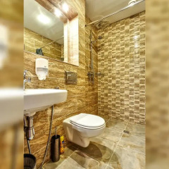 Гостиница Регина 3* Номер Комфорт с различными типами кроватей фото 15