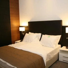 Отель Holiday Inn Novi Sad Нови Сад комната для гостей фото 3