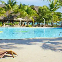 Отель The Puntacana Hotel Доминикана, Пунта Кана - отзывы, цены и фото номеров - забронировать отель The Puntacana Hotel онлайн бассейн