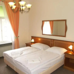 Отель Pension Brezina Prague 3* Номер Делюкс фото 2