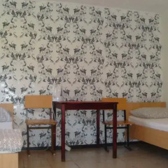 Hostel at Griboedova комната для гостей фото 2