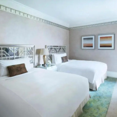 Отель The Ritz-Carlton Abu Dhabi Grand Canal 5* Люкс Garden house фото 2