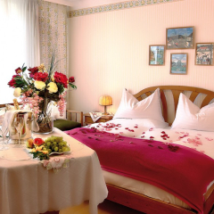 Hotel & Apartaments Schneider Goessl Вена комната для гостей фото 7