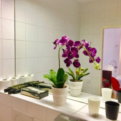 a&t Holiday Hostel Стандартный номер с различными типами кроватей фото 10
