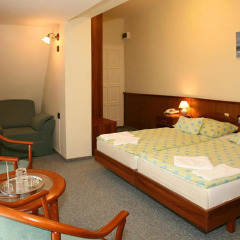 Отель Bástya Wellness Hotel Венгрия, Силвашварад - 2 отзыва об отеле, цены и фото номеров - забронировать отель Bástya Wellness Hotel онлайн комната для гостей фото 4