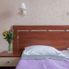 Гостиница Гранд Лион 3* Стандартный номер с различными типами кроватей фото 3