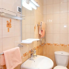 Гостиница Грифон Номер Комфорт с разными типами кроватей фото 6