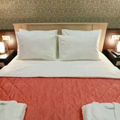 Elysium Hotel 3* Номер Делюкс с разными типами кроватей фото 9