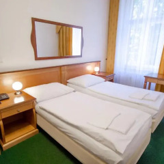 Отель Pension Brezina Prague 3* Номер Делюкс фото 3