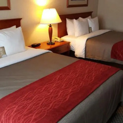 Отель Comfort Inn & Suites Канада, Саанич - отзывы, цены и фото номеров - забронировать отель Comfort Inn & Suites онлайн комната для гостей фото 4