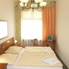 Отель Pension Brezina Prague 3* Номер Делюкс фото 8