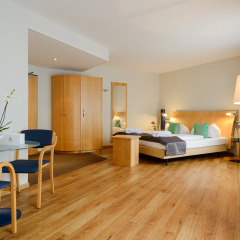 Отель Mercure Hotel Dresden Elbpromenade Германия, Дрезден - отзывы, цены и фото номеров - забронировать отель Mercure Hotel Dresden Elbpromenade онлайн комната для гостей фото 3