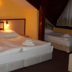 Hotel Rodina Банско комната для гостей фото 6