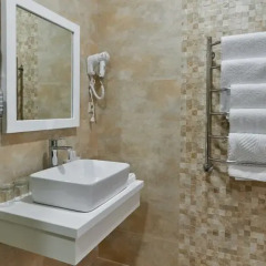 Гостиница Ариум 4* Номер Делюкс с различными типами кроватей фото 4