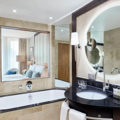 Intercontinental Hotel Düsseldorf 5* Студия фото 3