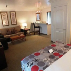 Отель Alexis Park All Suite Resort 3* Студия с различными типами кроватей