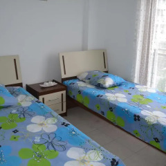 Отель Tree Palm Golf Apart Belek детские мероприятия