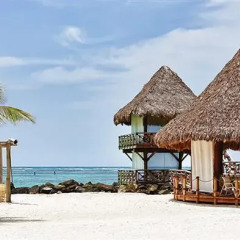 Отель The Puntacana Hotel Доминикана, Пунта Кана - отзывы, цены и фото номеров - забронировать отель The Puntacana Hotel онлайн пляж фото 6