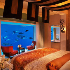 Отель Atlantis The Palm 5* Люкс Terrace club с двуспальной кроватью фото 2