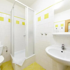 Отель Pension Brezina Prague 3* Стандартный номер фото 9