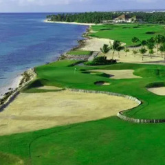 Отель The Puntacana Hotel Доминикана, Пунта Кана - отзывы, цены и фото номеров - забронировать отель The Puntacana Hotel онлайн спортивное сооружение