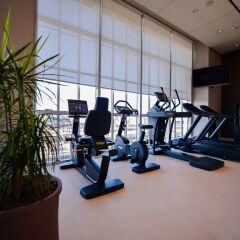 Отель DoubleTree by Hilton Turin Lingotto Италия, Турин - 1 отзыв об отеле, цены и фото номеров - забронировать отель DoubleTree by Hilton Turin Lingotto онлайн фитнесс-зал фото 2