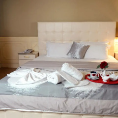 Отель Eagle Hotel Албания, Тирана - отзывы, цены и фото номеров - забронировать отель Eagle Hotel онлайн комната для гостей