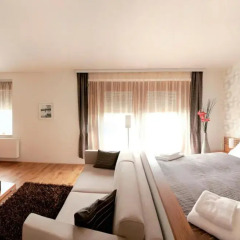 Отель Rezidence Vysehrad 4* Бизнес люкс