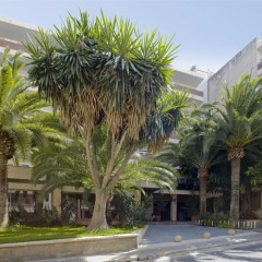 Hotel Ipanema Beach вид на фасад фото 2