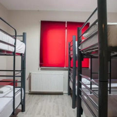 Vegan Bella Vista Hostel Кровать в общем номере с двухъярусной кроватью фото 2