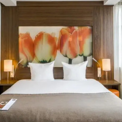 Eden Hotel Amsterdam 3* Представительский номер с различными типами кроватей