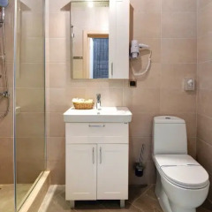 Гостиница Дельта Невы 3* Номер Комфорт с различными типами кроватей фото 8