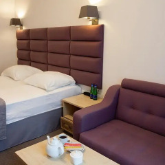 Гостиница Веллион Водный 3* Номер Делюкс с различными типами кроватей фото 6