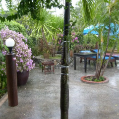 Palm Garden Hotel Паттайя