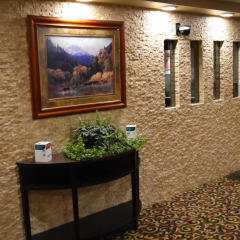 Отель Comfort Inn & Suites Durango интерьер отеля фото 6