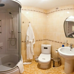 Гостиница Дубрава Плюс в Оренбурге отзывы, цены и фото номеров - забронировать гостиницу Дубрава Плюс онлайн Оренбург ванная фото 2