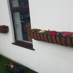 Euro Wembley - Elm Hotel интерьер отеля