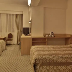 Отель Altinyazi Otel комната для гостей фото 3