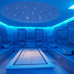 Отель Bodrum Holiday Resort & Spa сауна