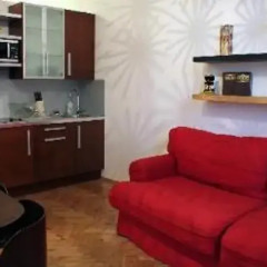 Гостиница Brusov Serviced Apartement в номере фото 3