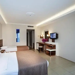 Venessa Beach Hotel Турция, Аланья - отзывы, цены и фото номеров - забронировать отель Venessa Beach Hotel онлайн комната для гостей фото 3